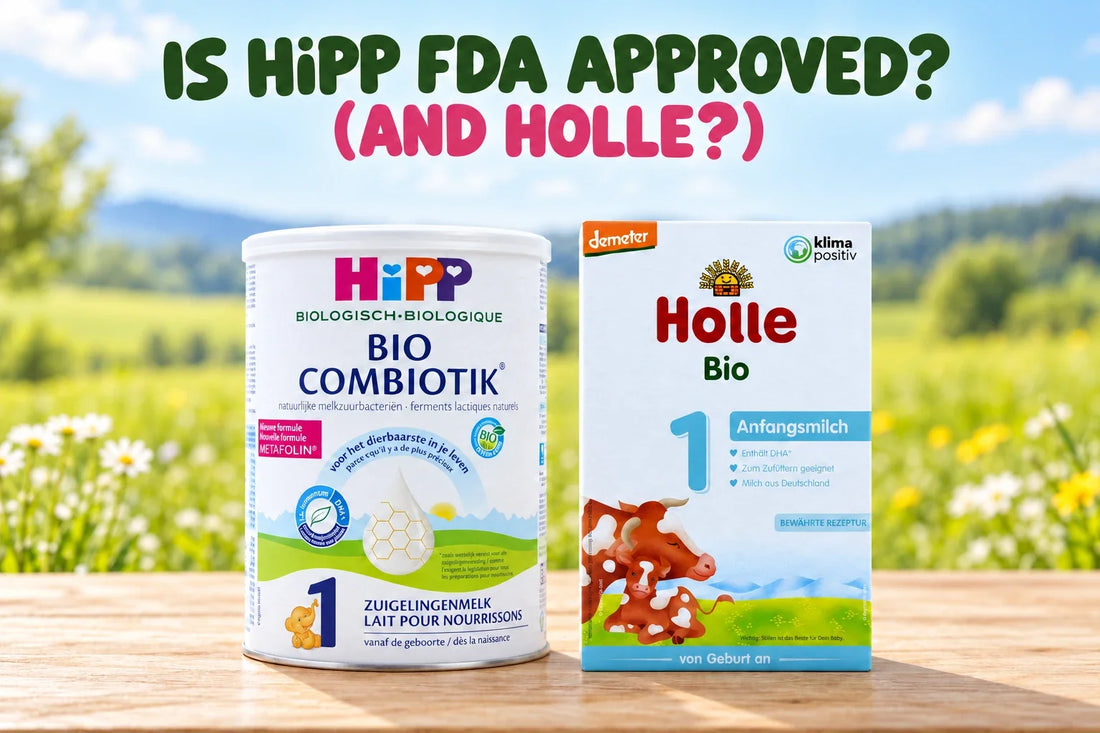 Is HiPP formula FDA approved? HiPP Dutch Stage 1 and Holle Stage 1 organic baby formula side by side