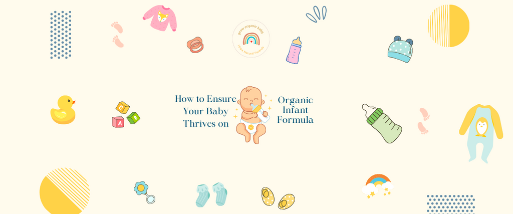 How to Ensure Your Baby Thrives on Organic Infant Formula
