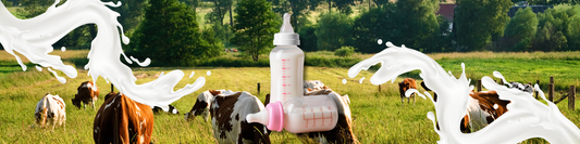 The Benefits of Switching to Organic Baby Formula