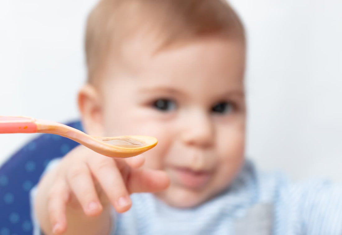 Plant-Based Toddler Food: What You Need to Know