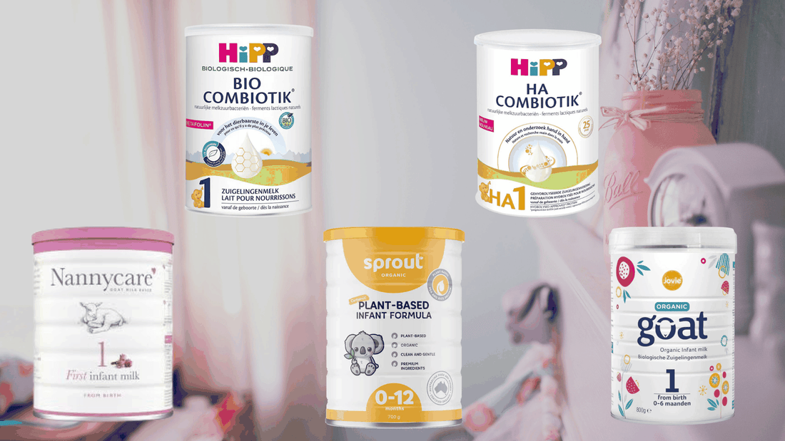 Top 5 Organic Baby Formulas in 2026 (Ranked by Parents & Pediatricians)